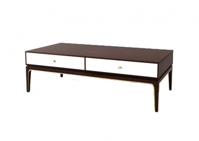 Coffee Table with Storage