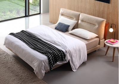 Platform Bed