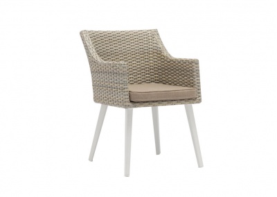 Outdoor Chair With Cushion