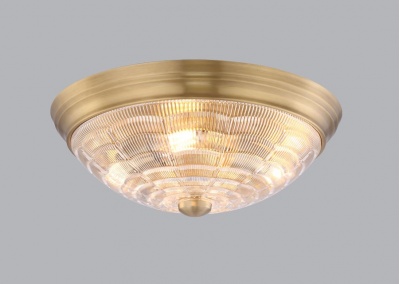 Flush Mount Ceiling Light