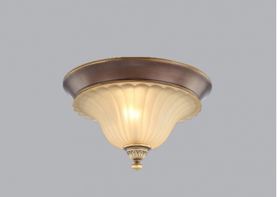 Flush Mount Ceiling Light