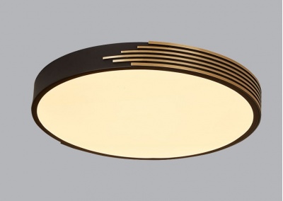 Flush Mount Ceiling Light