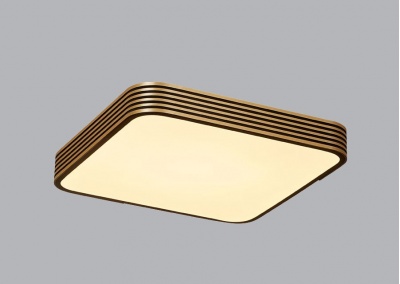 Square LED Flush Mount Ceiling Light