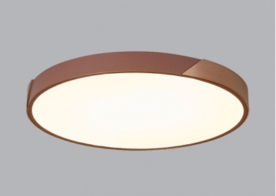 Flush Mount Ceiling Light