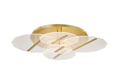 LED Flush Mount Ceiling Light