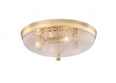 Flush Mount Ceiling Light