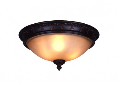 Flush Mount Ceiling Light