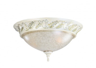 Flush Mount Ceiling Light