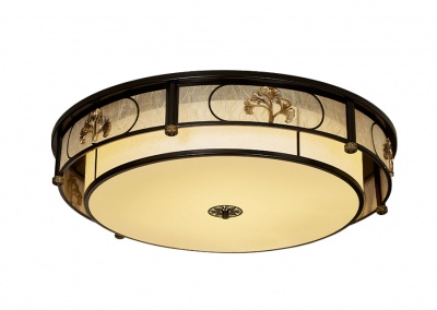 Flush Mount Ceiling Light