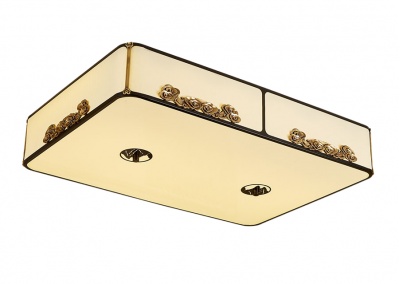 Flush Mount Ceiling Light