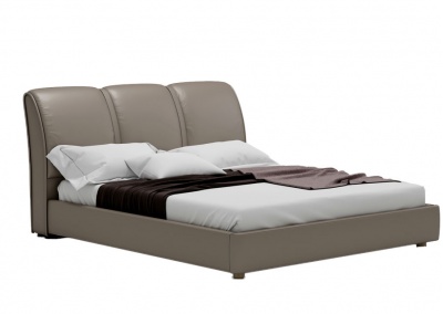 Platform Bed