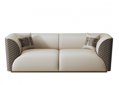 Modern leather sofa