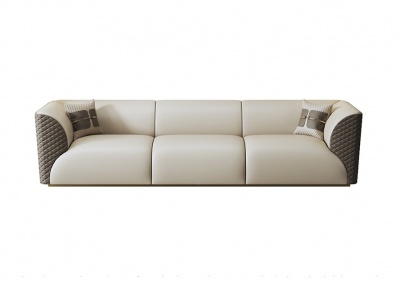 Modern leather sofa