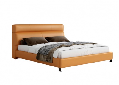 Platform Bed