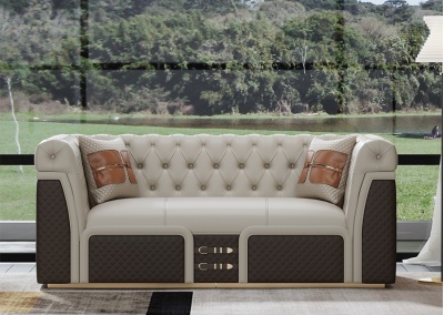 Leather sofa