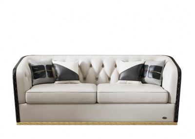 Leather sofa