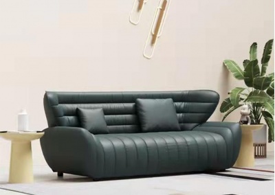 Leather leisure sofa